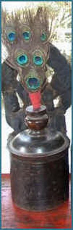 Peacock Symbol
