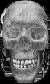 Thumbnail for version as of 19:39, 22 March 2023