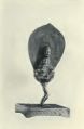 Thumbnail for version as of 18:06, 4 March 2014