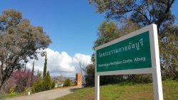Dhammakaya albury