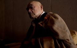 Zen Groups Distressed by Accusations Against Teacher