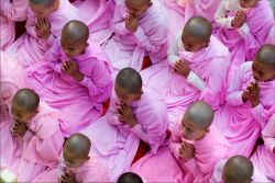 Buddhist nun professors or none?
