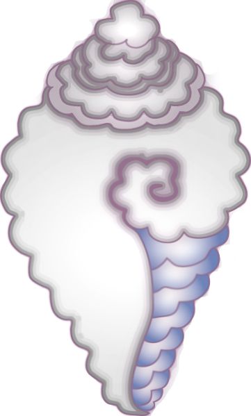 File:Kauuri-pystine0.jpg