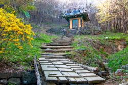 Issues in Mādhyamika philosophy