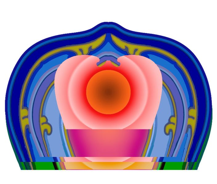 File:Riba-Lootos-segment.jpg