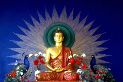 Lamrim Yeshe Nyingpo