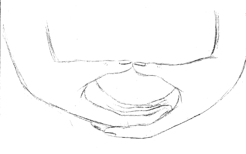 File:Dhyana-Mudra.png