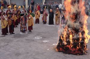 The translation of the Sanskrit “alaya” is the basis of everything (all-foundation).
