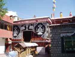 The Protector House Itself