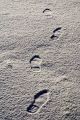 Thumbnail for version as of 11:14, 7 January 2013