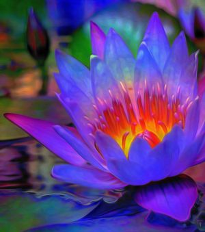 Yogachara/Vijnanavada (Faxiang/Hossō)