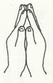 Thumbnail for version as of 23:01, 24 June 2014