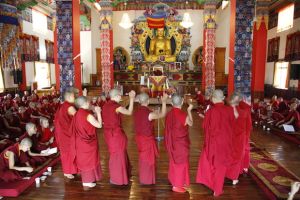 Activities for Uncovering Primordial Wisdom from the Chimé Pakmé Nyingtik, ‘The Heart Essence of the Sublime Lady of Immortality’