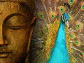 Thumbnail for version as of 16:16, 27 May 2013