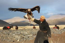 Patterns of Monastic and Sangha Development in Khalkha Mongolia by Lkham Purevjav