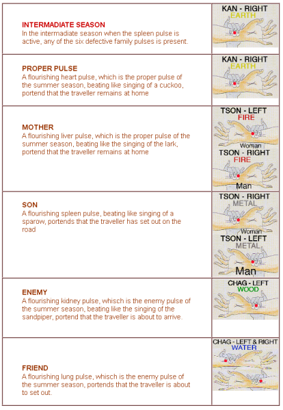 File:Intermeditate-guest-pulse.png