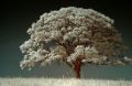 Thumbnail for version as of 11:15, 7 January 2013