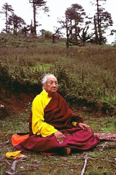 File:Dilgo khyentse1211.jpg