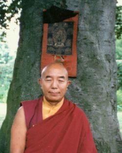 Tenga Rinpoche, seated beneath the now stolen picture given to his previous incarnation by Jamgon Kongtrul.
