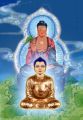 Thumbnail for version as of 12:51, 27 April 2014