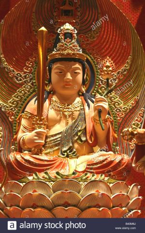 The Paramita of Forbearance