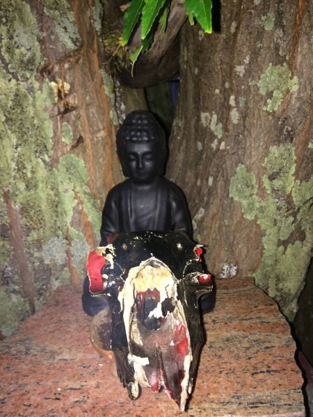 File:BuddhaSkullBless.jpg