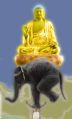 Thumbnail for version as of 16:53, 17 May 2014