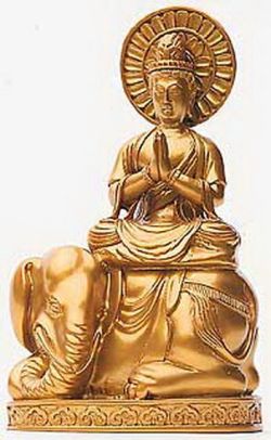 The Bodhisattva Universal Worthy