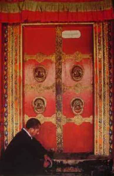 File:Kuh0021.JPG