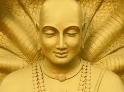 About the 10th Shamarpa