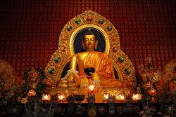 The Zen Teachings of Nagarjuna
