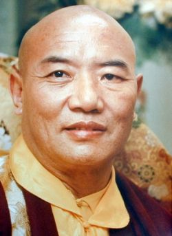 Remembering the 16th Karmapa