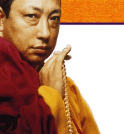 Lama Gyurme