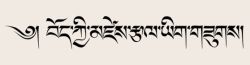 Tibetan Language