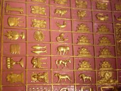 Detailed marks and figures of reptiles and animals