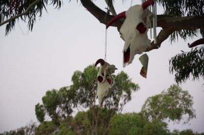 Animal bones, hides, and feathers have yet another important use in magic — shapeshifting. These parts can be worn as jewelry or donned as a costume while going into trance to leave your body so eithe