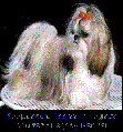 Thumbnail for version as of 16:36, 3 March 2014