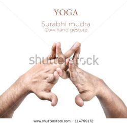 Buddhist Symbols, The Becon Lights to Nibbana by Ven. Dr.Bhikkhu Bodhipala