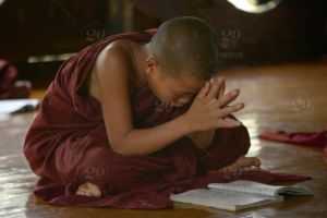 Vajrayana meditation techniques associated with Tibetan Buddhism can enhance brain performance