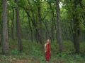 Thumbnail for version as of 11:22, 14 May 2013