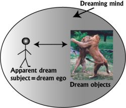 Figure 2: Dreaming