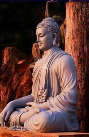 The Other Side of Realism : Panpsychism and Yogācāra