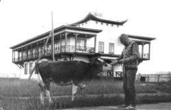 Brotherhood in Ivolga monastery in the 1980s