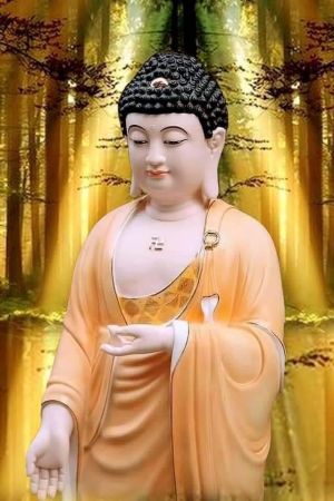 Is Shambhala a Cult?