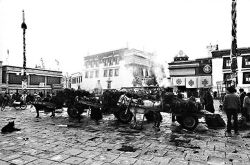 The Kora of the Jokhang temple