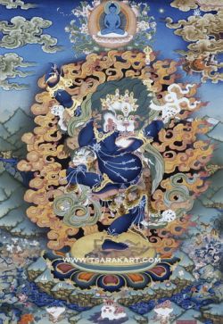 The secret book of Simhamukha