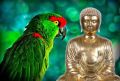 Thumbnail for version as of 00:10, 13 February 2014