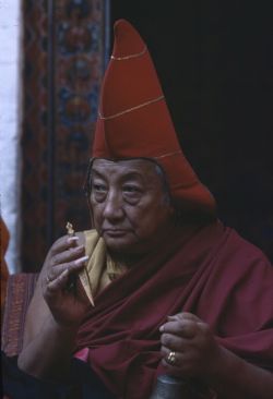Dilgo Khyentse Tashi Peljor