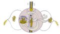 Thumbnail for version as of 09:51, 18 June 2013