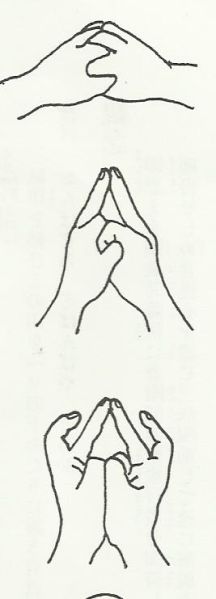 File:Vira5fsssaw3.jpg